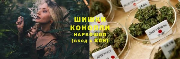 крисы Арсеньев