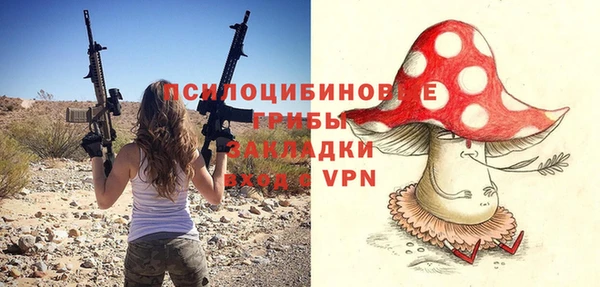крисы Арсеньев