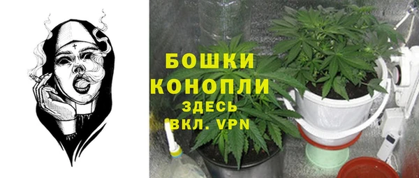 крисы Арсеньев
