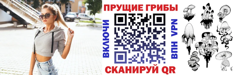 Псилоцибиновые грибы Psilocybine cubensis  Купить  Дорогобуж 